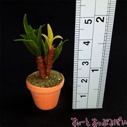 ミニチュア 観葉植物の鉢植え その5 幸福の木 SMPLN39 ドールハウス用