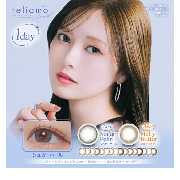 （4箱+2箱おまけ＝6箱セット）フェリアモワンデー　ワンデーフェリアモ　フェリアモ　10枚　ふちあり　..