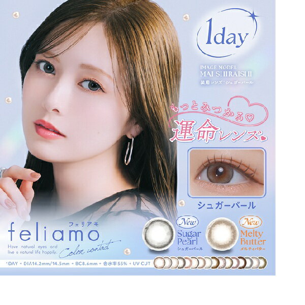 （8箱+4箱おまけ＝12箱セット）フェリアモワンデー　ワンデーフェリアモ　フェリアモ　10枚　ふちあり..