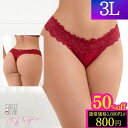 \50%OFF!800円/ ランジェリー 大きいサイズ セクシーショーツ セクシーランジェリー ショーツ Tバック エロ 透け透け リボン レース ブラック ホワイト レッド 穴あき 股割れ プラスサイズ 超過激 勝負下着 下着 かわいい 大人 3L 5L 男の娘 40代 3l 5l 5186