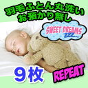 【羽毛布団 クリーニング】リピーター 丸洗い9枚 即納コース【送料無料】