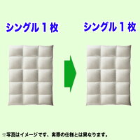 羽毛布団打ち直し(リフォーム)ダブルサイズ+保管サービスベーシックコース仕様