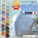 本日終了\最大P13倍/ 布マスク日本製 洗える さらさらコットン100% 3Dフィット 布マスク 夏マスク ポケット 調節機能付き 血色 マスク 秋色 血色カ...