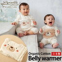 \最大3000円OFFクーポン/ 【日本製】 オーガニックコットン はらまき/くまのコットン オフホワイト 『Amorosa mamma』アモローサマンマ 《赤ちゃん ベビー 腹巻 礒企画》