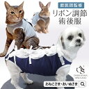 送料無料 キャットウェア ペットウェア 猫服 フリース ハイネック タートルネック 袖あり 無地 防寒 もこもこ 抜け毛対策 シンプル おしゃれ あったか 暖かい プルオーバー ペット用品 猫用品 ピンク ブルー グレー ブラウン グリーン パープル 青 茶色 緑 紫