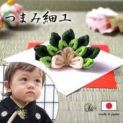 https://thumbnail.image.rakuten.co.jp/@0_mall/sweet-mommy/cabinet/sn/sg19125.jpg