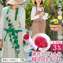 \母の日待たせてごめんね/ ギフト エプロン カフェ ガーデニング キッチン 女性 ワンピース レディース 大きいサイズ ポケット プレゼント カーネーション ...