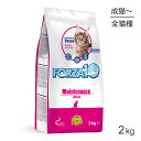 フォルツァ10 FORZA10 メンテナンス フィッシュ 成猫～高齢猫用 2kg (猫・キャット)