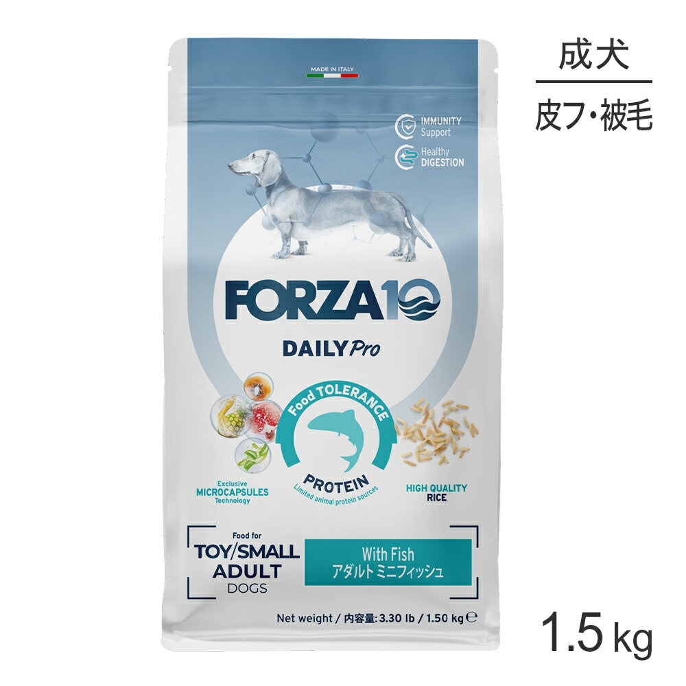 ������ݥ����10�ܡ��ץ���ȥ꡼�ۥե���ĥ�10 Forza10 Daily Pro ������ȥߥ� �ե��å��� �ȱ֤η򹯰ݻ���������&�����ȥ��� ������ ��...