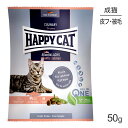 yő400~ItN[|vO擾zHAPPY CAT Ji[ AgeBbNT[ XLPA Lp 50g (LELbg) [Ki]