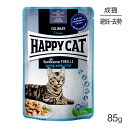 yő400~ItN[|vO擾zHAPPY CAT ~[g in \[X XvOgEg pE` XLPA D̐Lp 85g (LELbg)[Ki]