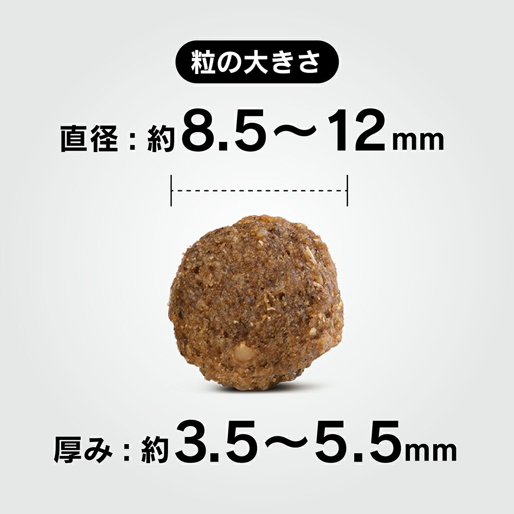 サンプル画像2