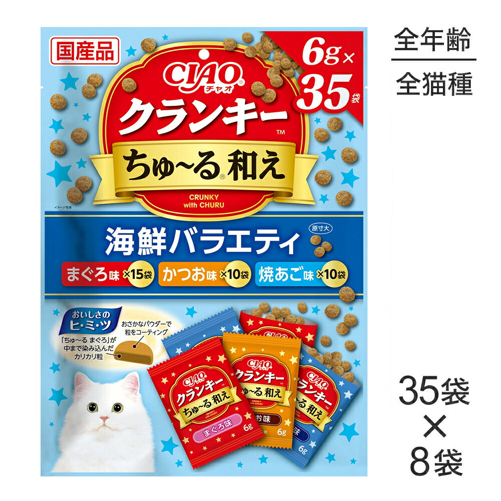 �ں���500�ߥ��ե����ݥ��׻��������ۡ�(6g��35��)��8�ޡۤ��ʤ� CIAO ����󥭡� ��������¤� �����Х饨�ƥ� (ǭ������å�)