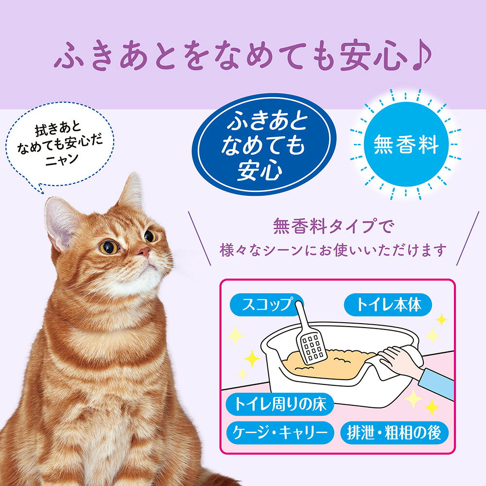 【70枚×12袋】キミおもい 徹底キレイおそうじシート ボトル本体 (猫・キャット)