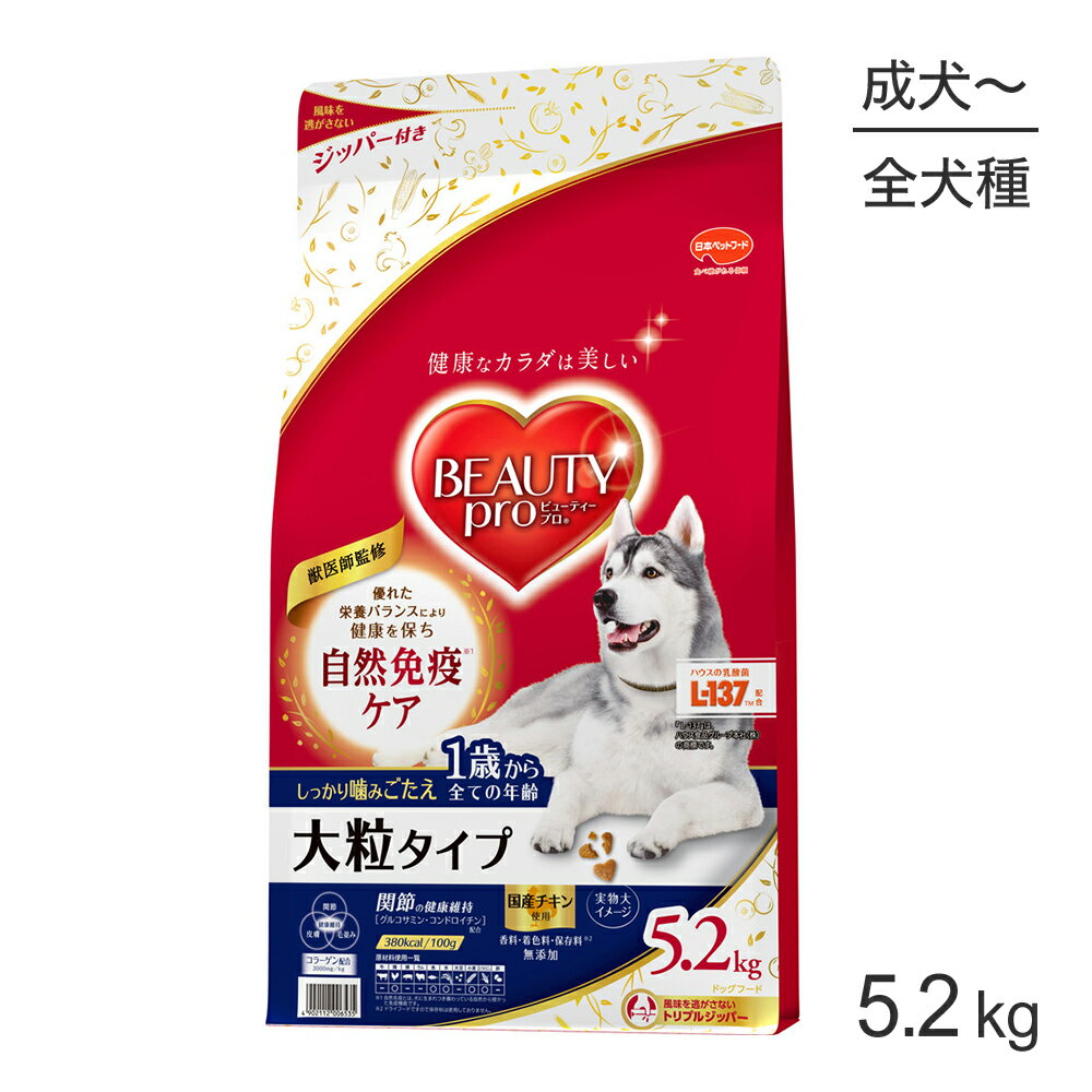 ■最大ポイント10倍【要エントリー】ビューティープロ ドッグ 大粒タイプ 1歳から 5.2kg (犬・ドッグ)