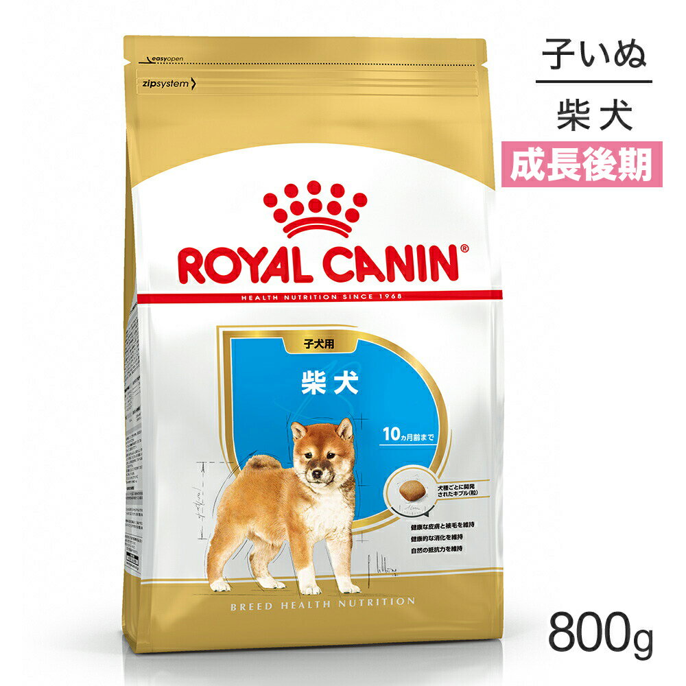 ロイヤルカナン 柴犬 子犬用 800g (犬・ドッグ) [正規品] ドッグフード 犬 ドライフード