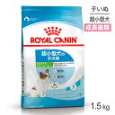 ロイヤルカナン エクストラ スモールパピー 子犬 1.5kg (犬・ドッグ) [正規品]