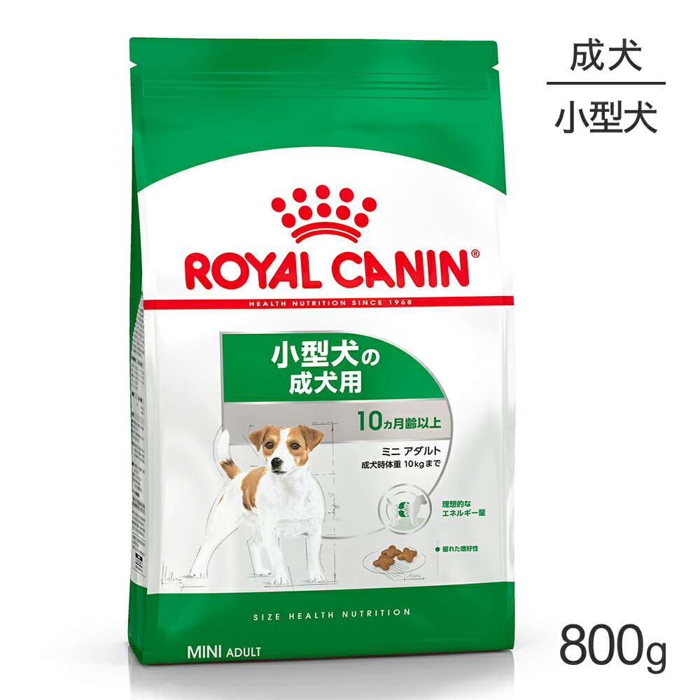 【マラソン中最大ポイント10倍※要エントリー】ロイヤルカナン ミニ アダルト 800g (犬・ドッグ) [正規品]