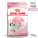 ロイヤルカナン キトン 猫用 10kg (猫 キャット) 正規品