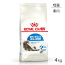 ロイヤルカナン インドア ロングヘアー 猫用 4kg (猫・キャット) [正規品]