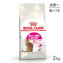 【最大350円オフクーポン■要事前取得】ロイヤルカナン セイバーエクシジェント猫用 2kg (猫 キャット) 正規品