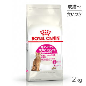 【最大350円オフクーポン■要事前取得】ロイヤルカナン プロテインエクシジェント猫用 2kg (猫・キャット) [正規品]