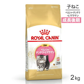 【最大350円オフクーポン■要事前取得】ロイヤルカナン ペルシャ・チンチラ・ヒマラヤン 子猫用 2kg (猫・キャット) [正規品]