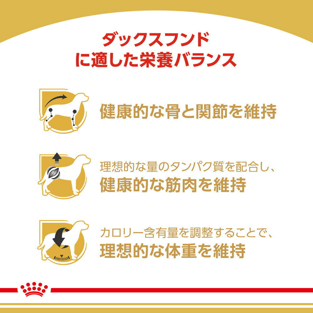 【3kg×2袋】ロイヤルカナン ダックスフンド中・高齢犬用 (犬・ドッグ) [正規品] ドッグフード シニア 犬 ドライフード