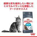 【最大400円オフクーポン■要事前取得】【2kg×2袋】ロイヤルカナン ユリナリー ケア (猫・キャット)[正規品] 2