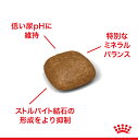 【最大400円オフクーポン■要事前取得】【2kg×2袋】ロイヤルカナン ユリナリー ケア (猫・キャット)[正規品] 3