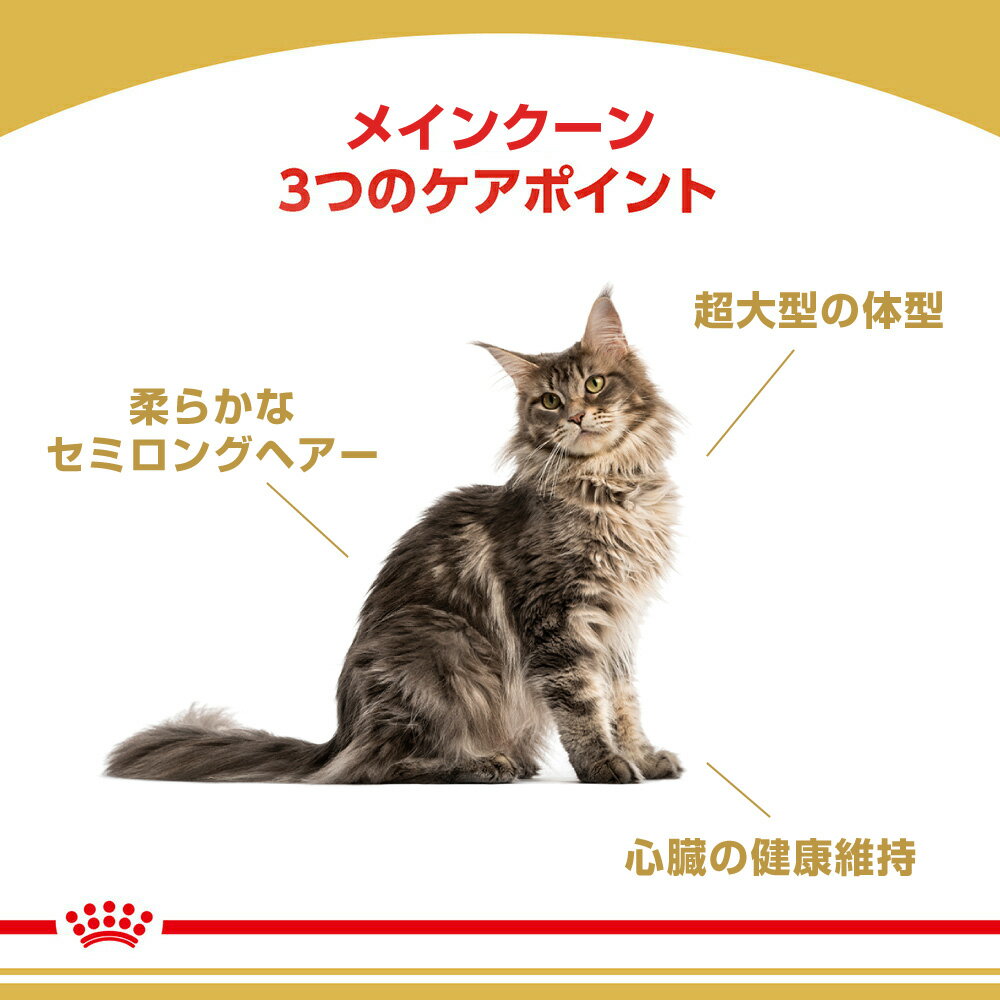 【最大350円オフクーポン■要事前取得】【2kg×4袋】ロイヤルカナン メインクーン (猫・キャット)[正規品] 2