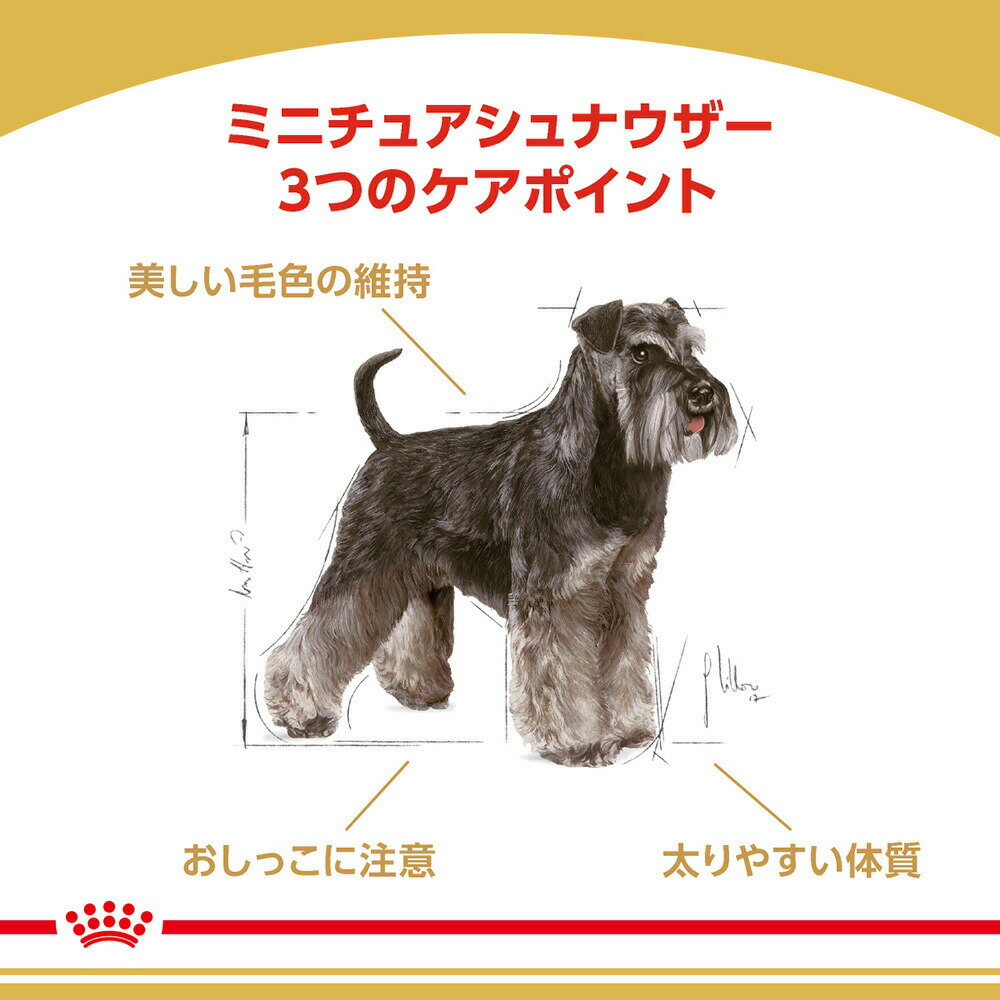 ロイヤルカナン ミニチュアシュナウザー 成犬・高齢犬用 1.5kg (犬・ドッグ) [正規品] ドッグフード シニア 犬 ドライフード