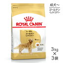 ロイヤルカナン ゴールデンレトリバー 成犬・高齢犬用 (犬・ドッグ) 