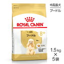 ロイヤルカナン プードル中・高齢犬用 (犬・ドッグ) 