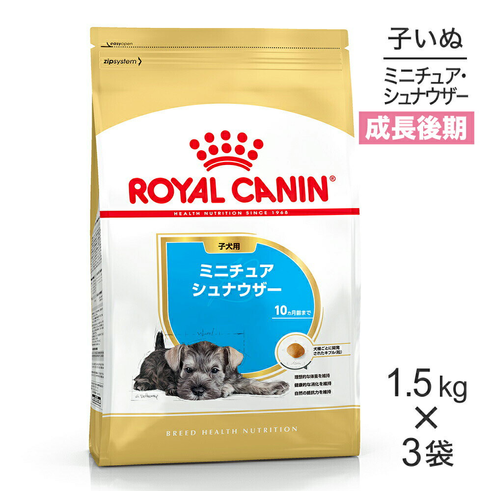 楽天市場】ロイヤルカナン ミニチュアシュナウザー子犬の通販