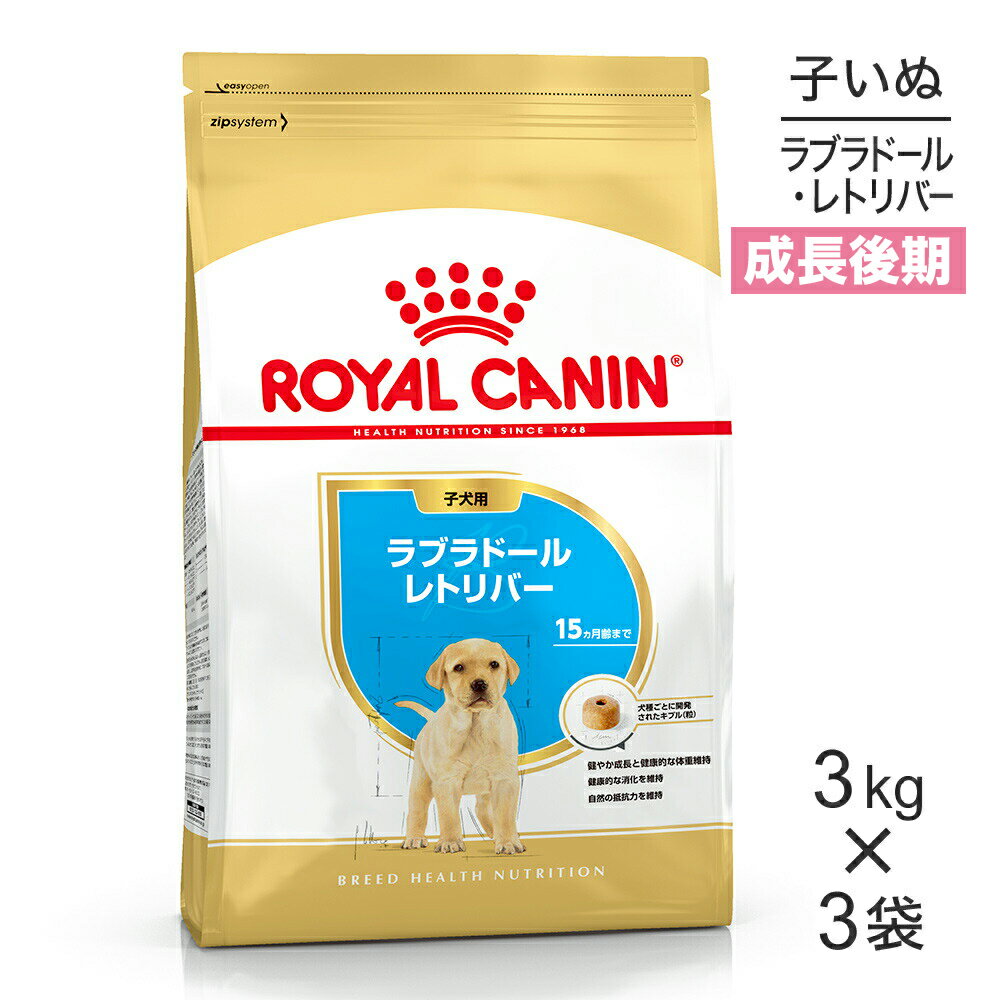 【最大400円オフクーポン■要事前取得】【3kg×3袋】ロイヤルカナン BHN ラブラドールレトリバー 子犬用 生後15ヵ月齢まで (犬・ドッグ)[正規品]