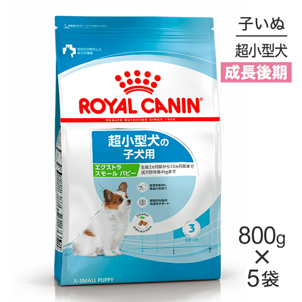 Royal Canin - ■最大ポイント10倍【4/24〜要エントリー】【800g×5袋】ロイヤルカナン SHN エクストラ スモール パピー 超小型犬 成長後期の子犬用 生後10ヵ月齢まで (犬・ドッグ)[正規品]