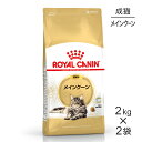 【マラソン中最大ポイント10倍※要エントリー】【2kg×2袋】ロイヤルカナン メインクーン (猫 キャット) 正規品