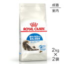 【2kg×2袋】ロイヤルカナン インドアロングヘアー (猫 キャット) 正規品