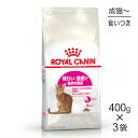 【マラソン中最大ポイント10倍※要エントリー】【400g×3袋】ロイヤルカナン セイバーエクシジェント (猫 キャット) 正規品