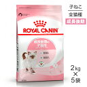 【最大350円オフクーポン■要事前取得】【2kg×5袋】ロイヤルカナン キトン 成長後期の子猫用 (猫 キャット) 正規品