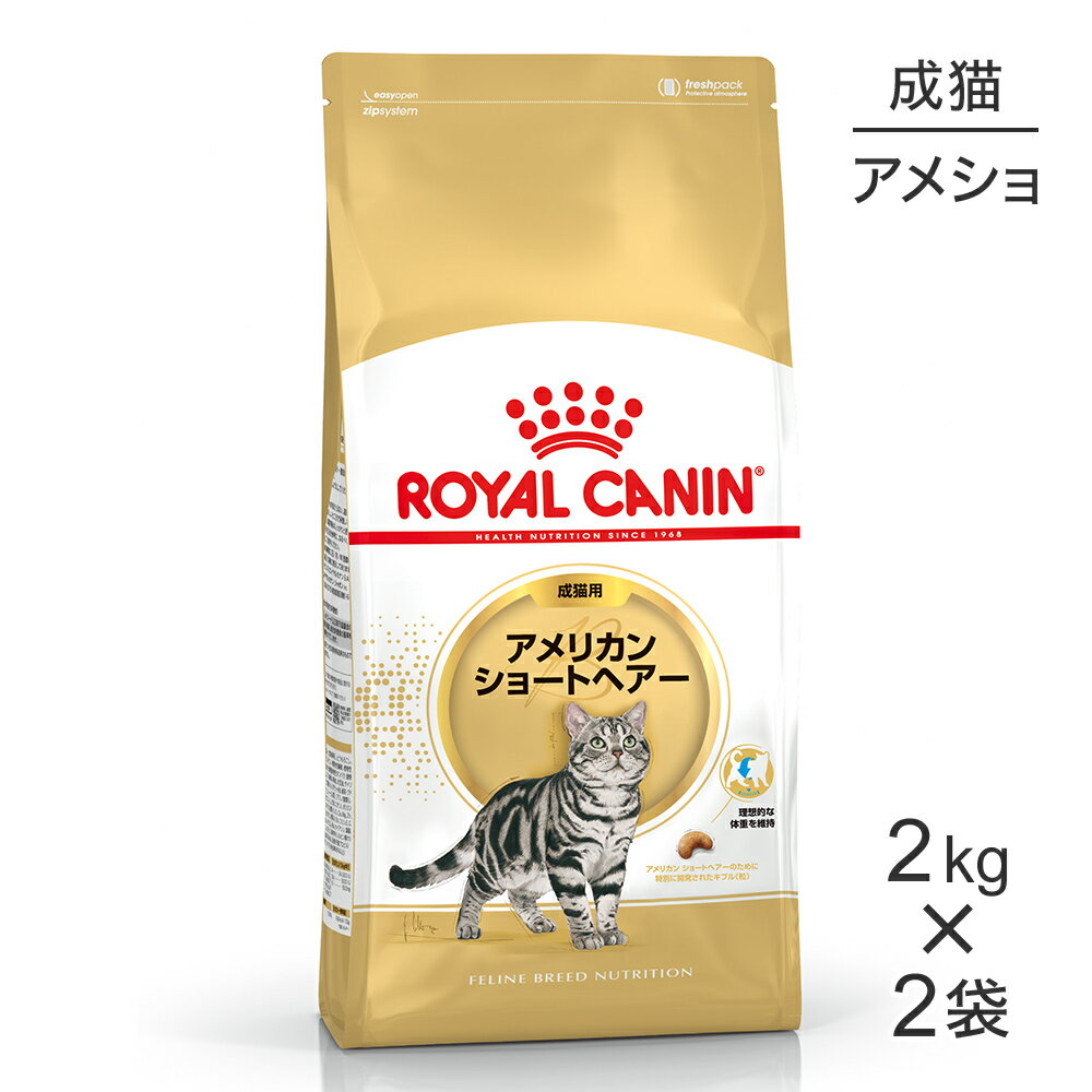 【マラソン中最大ポイント10倍※要エントリー】【2kg×2袋】ロイヤルカナン アメリカンショートヘアー (猫・キャット)[…