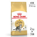 【最大400円オフクーポン■要事前取得】【2kg×3袋】ロイヤルカナン アメリカンショートヘアー (猫・キャット)[正規品]