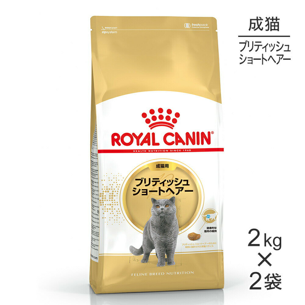 【マラソン中最大ポイント10倍※要エントリー】【2kg×2袋】ロイヤルカナン ブリティッシュショートヘアー (猫・キャッ…