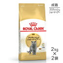 【最大400円オフクーポン■要事前取得】【2kg×2袋】ロイヤルカナン ブリティッシュショートヘアー (猫・キャット)[正規品]