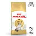 【最大350円オフクーポン■要事前取得】【2kg×3袋】ロイヤルカナン ラグドール (猫・キャット)[正規品]