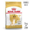 【最大350円オフクーポン■要事前取得】【3kg×2袋】ロイヤルカナン 柴犬 中 高齢犬用 (犬 ドッグ) 正規品