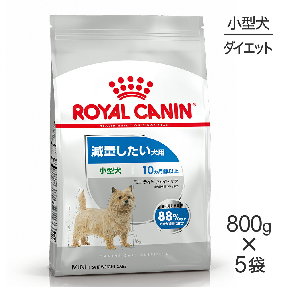 ■最大ポイント10倍【7/19〜要エントリー】【800g×5袋】ロイヤルカナン CCN ミニ ラ...