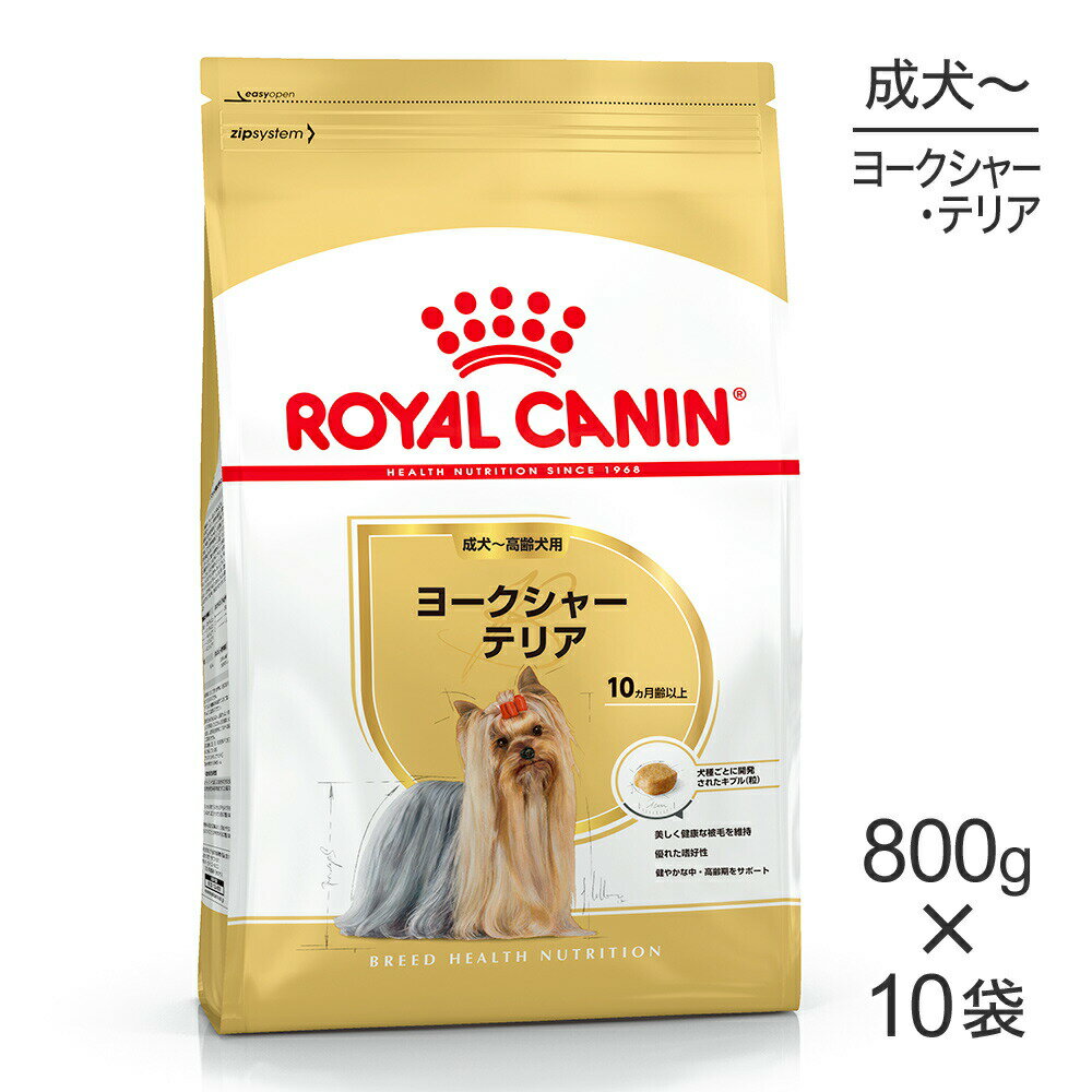 ������ݥ����10�ܡ��ץ���ȥ꡼�ۡ�800g��10�ޡۥ�����륫�ʥ� BHN �衼�����㡼�ƥꥢ ������������ ����10������ʾ� (�����ɥå�)[������]