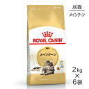 【2kg×6袋】ロイヤルカナン メインクーン (猫 キャット) 正規品